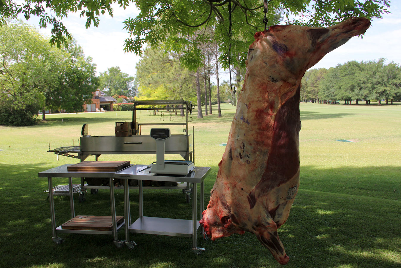 Tagwood BBQ Argentine Santa Maria Wood Fire & Charcoal Gaucho Grill | BBQ26SS -- - TAGWOOD BBQ