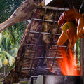 Argentine Asado with a BBQ06SS