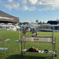 BBQ06SS Premium Argentine Grill