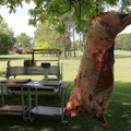 Premium Tagwood BBQ26SS Charcoal Grill