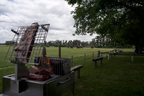 Tagwood BBQ Argentine Clamp Grill with firebox | BBQ33SS -- - TAGWOOD BBQ