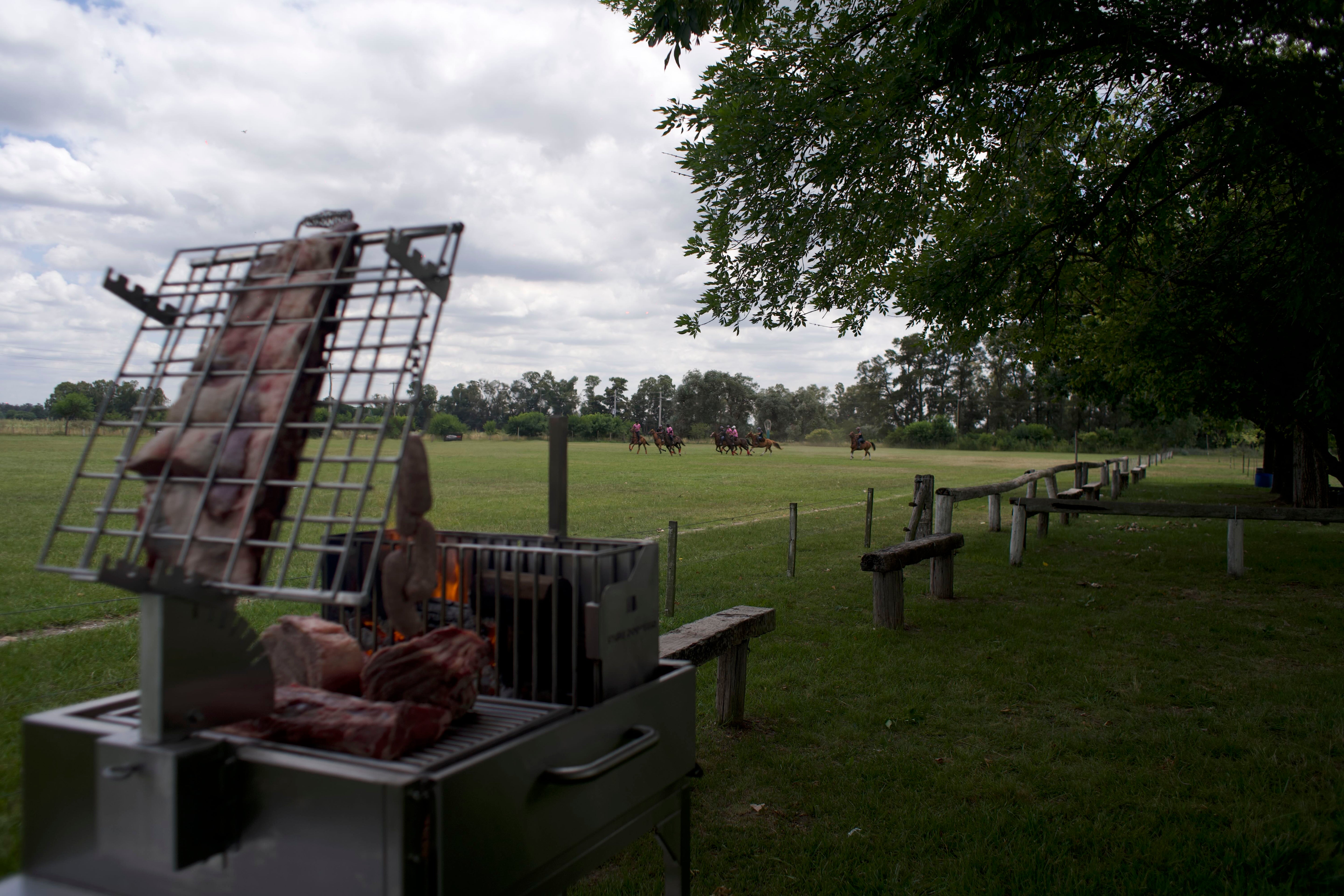 Tagwood BBQ Argentine Clamp Grill with firebox | BBQ33SS --