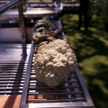 Tagwood BBQ Warming Rack | BBQ52SS-- - TAGWOOD BBQ STORES