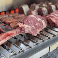 Tagwood BBQ V-Shape grill for BBQ23SS/BBQ25SS| BBQ90SS -- - TAGWOOD BBQ STORES